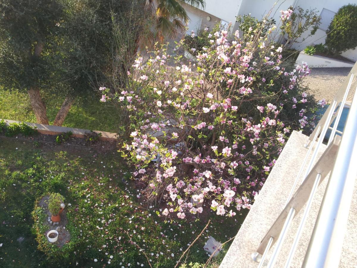 Com O Douro A Vista Bed & Breakfast Jovim Luaran gambar