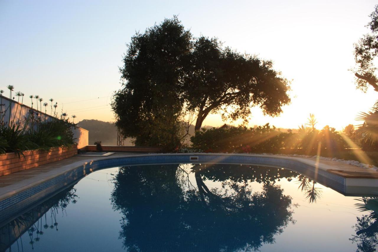 Com O Douro A Vista Bed & Breakfast Jovim Luaran gambar